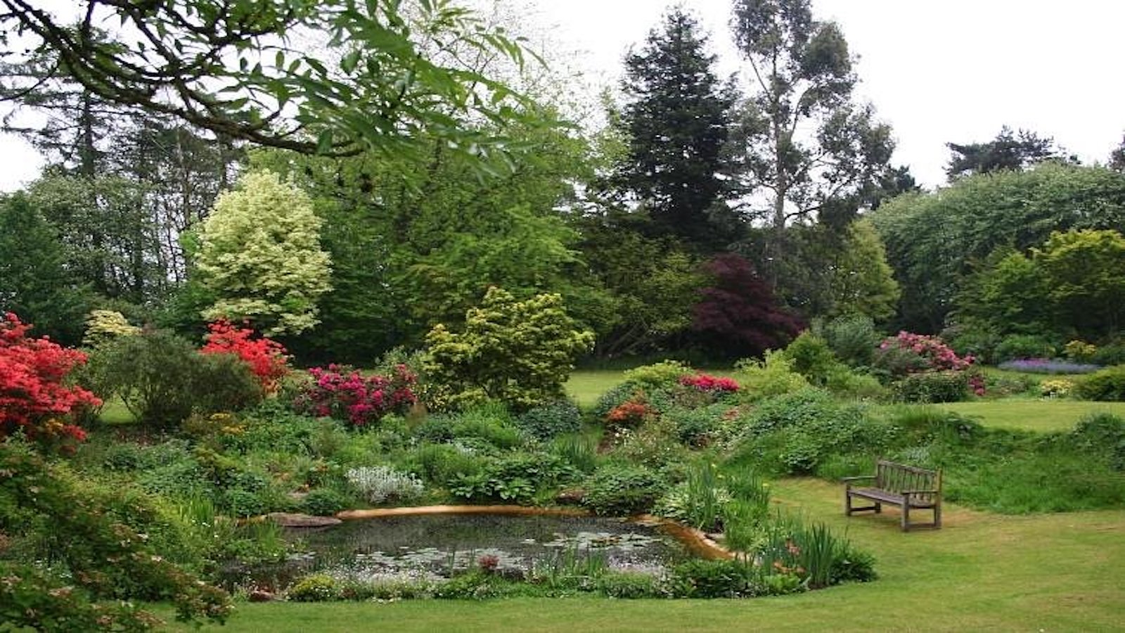 Gardens at Beech court tea rooms