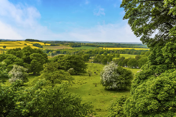 View of the English countryside on a bright sunny day